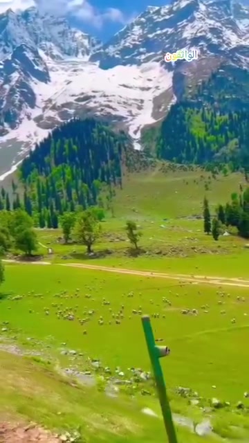 Very Beautiful Place Malik Video Viral Febspot