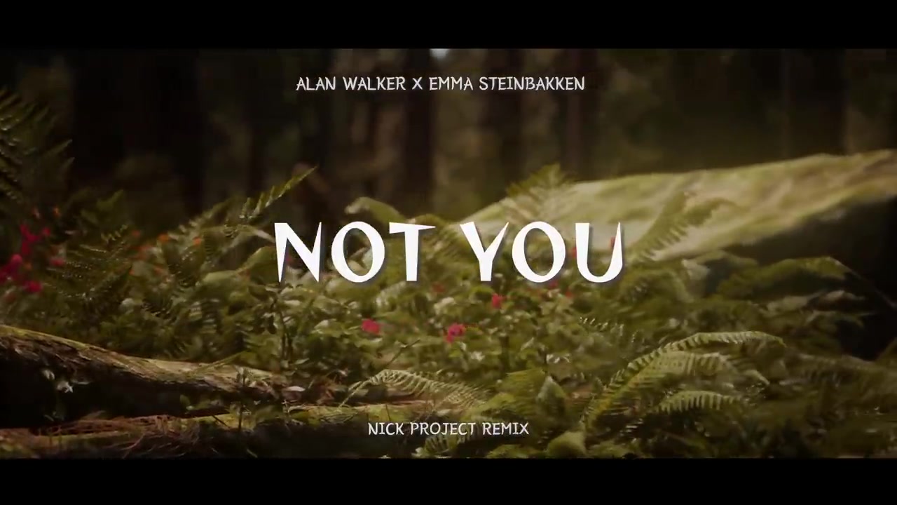 Dj Slow Remix Alan Walker X Emma Steinbakken Not You Nick