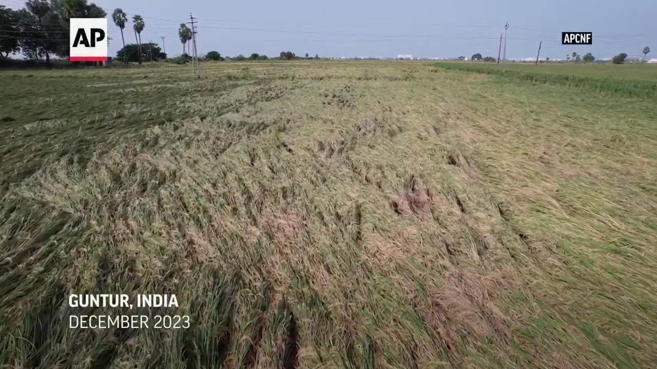 Farmers In India Are Hit Hard By Extreme Weather By ClipRNG On Febspot