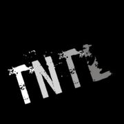 TNtL channel