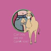 Spy Cameltoe Cameltoes Leggings Bigtoe Yogapants Hotgirl By Cameltoes On Febspot
