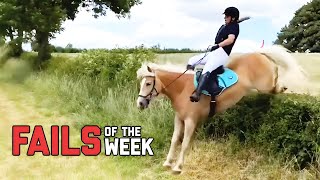 Funny moments of the week | New funny videos 2023 | funny fails 2023 | try not to laugh