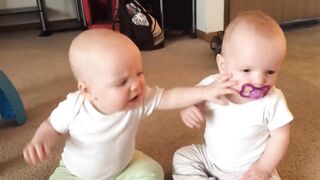 Twin Baby Girls Fight Over Pacifier