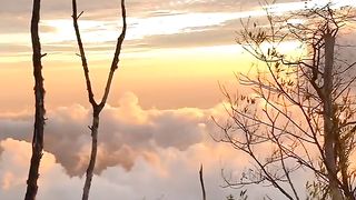 View in merbabu mountain