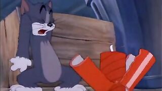 Tom & jerry 6