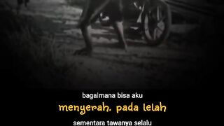 Kata kata hari ini 173