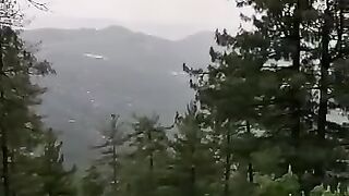 Raining Weather and Pine trees in Murree.