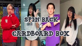 Spin Back x Cardboard Box -Tiktok Compilation