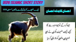 Exploring the Meaning Behind  | Bakri ki qeemat?  | urdu  Short Stories | wisdomwishes