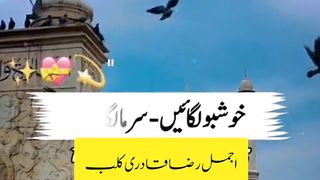 Jumma Ka Din | جمعہ کا دن | Muhammad Ajmal Raza Qadri |  Status | Ajmal Raza Qadri Club |