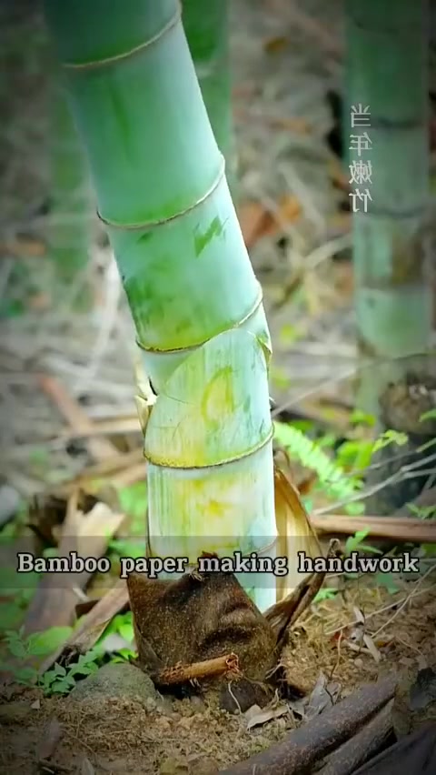 Bamboo paper making handwork. by Subhankhan1122 on Febspot