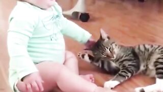 CUTE CAT WITH A BOY