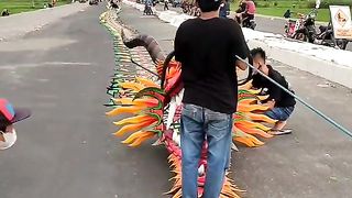 Long dragon kite