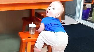 Nice_Greeting!_Funny_Baby_Say__Hi__with_Animals_But...___Just_Laugh(360p).