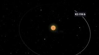 Exoplanet K2-116 b