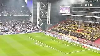 FC København - Brøndby IF 12.11.2023. #football #ultrasworld #pyro #ultras #superfans #futbol