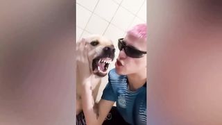 New Funny Cats and Dogs Videos | Funniest Animal Videos 2023 2