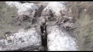 Ukraine Russia War | Drone View of Russian Forces' Trench Assault Training | RCF