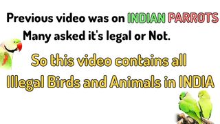 Top 20 Illegal Birds & Animals in India (with Arrest proofs)