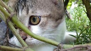 Yumi in the garden