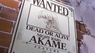Akame ga kill (2014) episode 19 sub indo