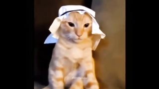 Funny Arab Videos (Part 7)