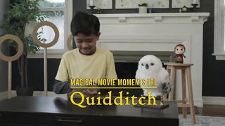 Quidditch (Harry Potter In Real Life) Download