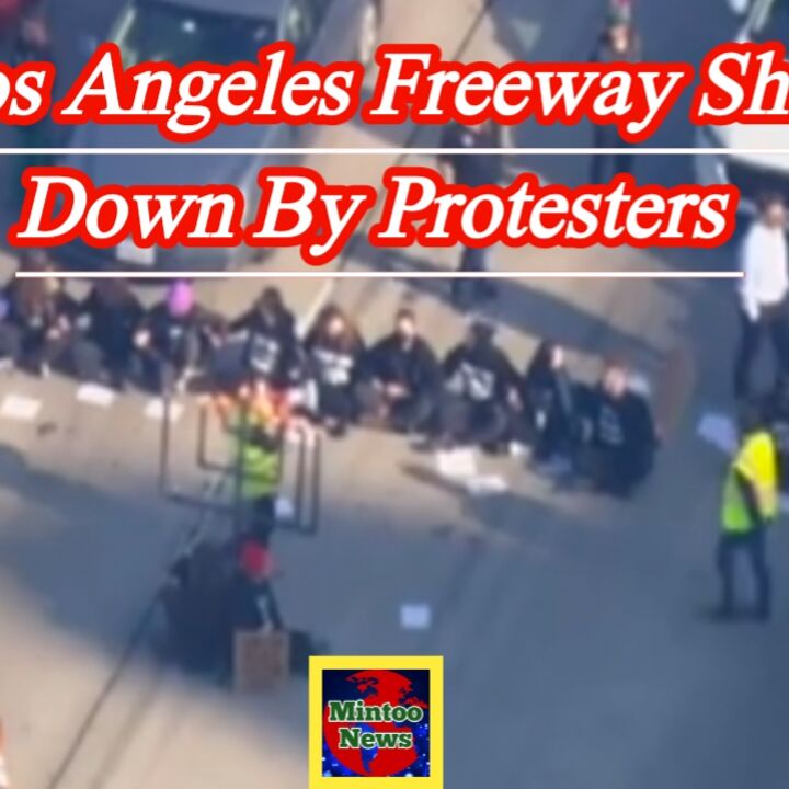 Anti Israel Protesters Shut Down Los Angeles Freeway Febspot