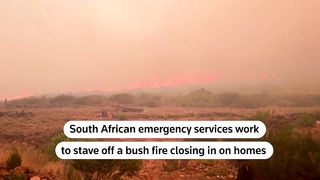 Bush fire nears homes in South Africa's Simon's Town | REUTERS