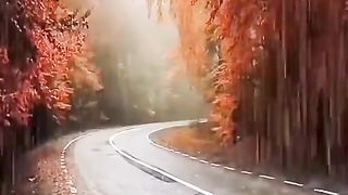 Beautiful nature raining