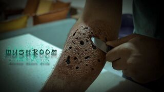 Mushroom | Short Horror Film | By Trepodation