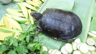 VIRAL -Yummy cooking turtle recipe - Cooking skill