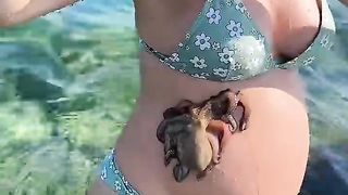 Octopus Clings To Pregnant Belly