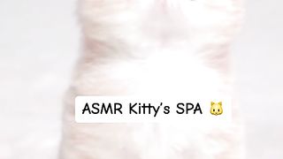 ASMR Kitten Spa Experience ????✨ | Relaxing Purrfection for Your Furry Friend