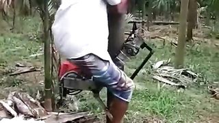 Super advanced technology!! Locally made tree climbing machine