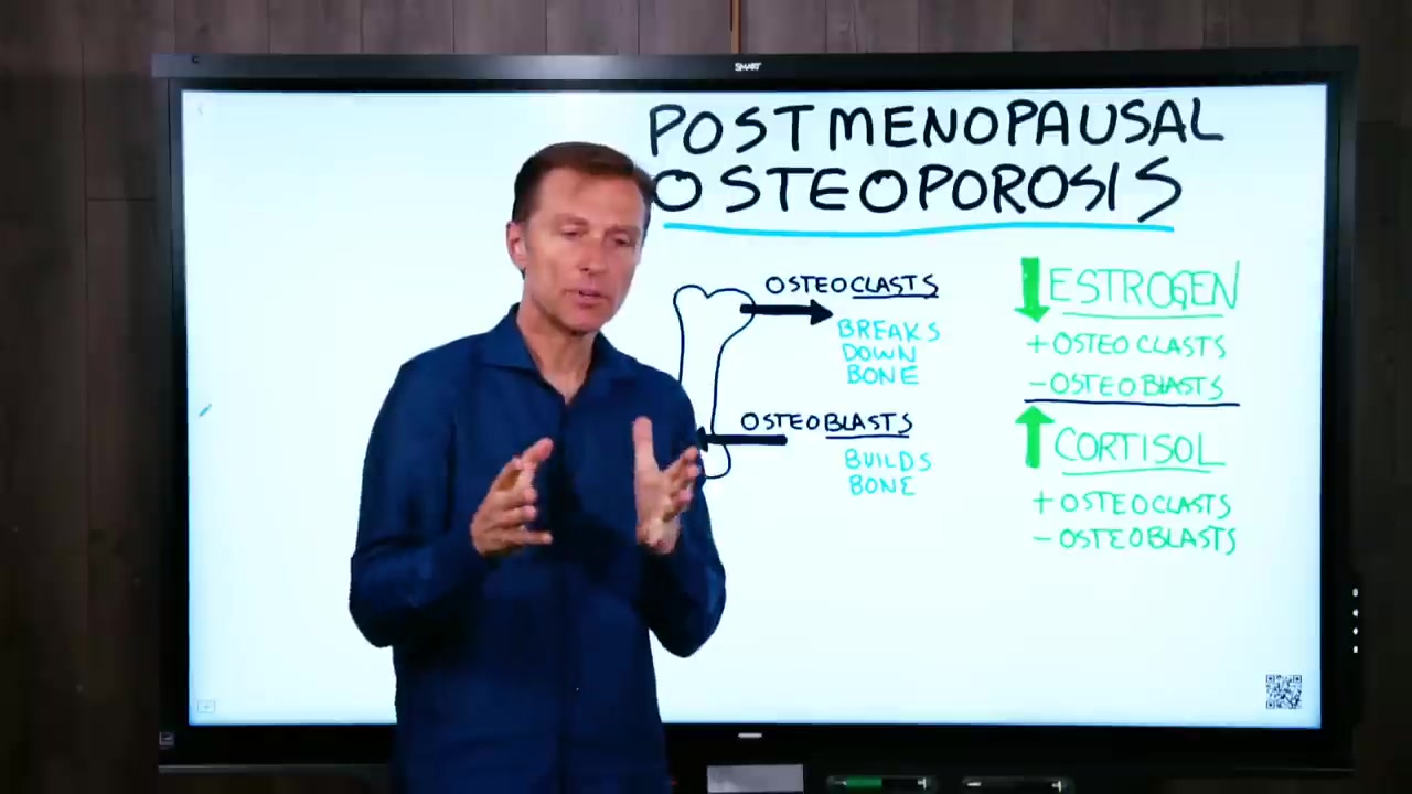 Postmenopausal Osteoporosis – Osteoclast and Osteoblast – Dr Berg - Febspot