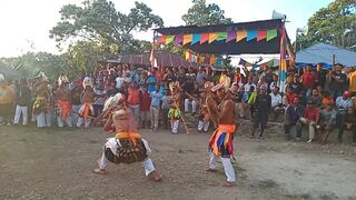 Dance Caci Culture Manggarai Flores