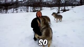 Akimbo 162K subscribers  Subscribe  9.2K   Share  1.5M views  1 month ago Animals Reunited With Owners After YEARS !  ➔ SUBSCRIBE!  …