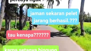 Perpua jaman sekarang