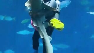 Hug with beautiful shark into aquarium