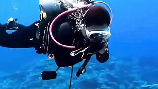 Diving together with sea turtle with very beautiful