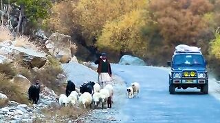 The beauty of chitral - gramchashma road - _chitral _beauty _attractions