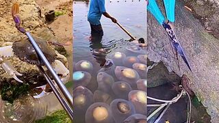 Activities of Chinese Fishermen Hunting Various Sea Animals around the Beach   ????  Sea Creatures