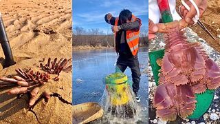 Activities of Chinese Fishermen Hunting Various Sea Animals around the Beach   ????  Sea Creatures