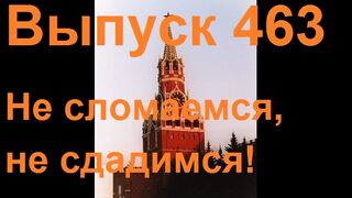 Выпуск 463