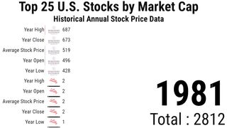 Top 25 U.S. Stocks by Market Cap