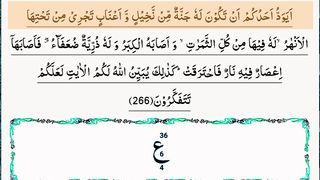 Surah Al Baqarah Ayat No.265 To 281