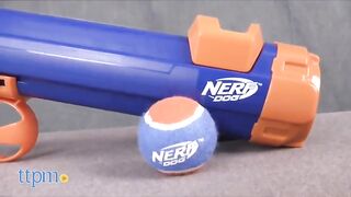 Nerf Dog Tennis Ball Blaster Dog Toy Blue/Orange, 16 Inch Compact Blaster