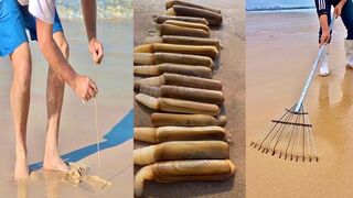 Activities of Chinese Fishermen Hunting Various Sea Animals around the Beach   ????  Sea Creatures