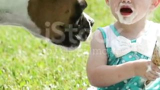 Dog  v  baby # funny shorts # viral # comedy shorts. # animals shorts , # comedy  clips